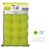 Franklin X-40 Pickleballs (12 Pack)